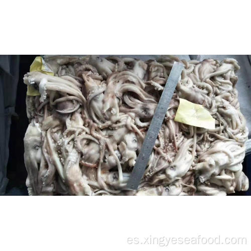 Tentáculo congelado Squid Illex Argentinus 120-140G